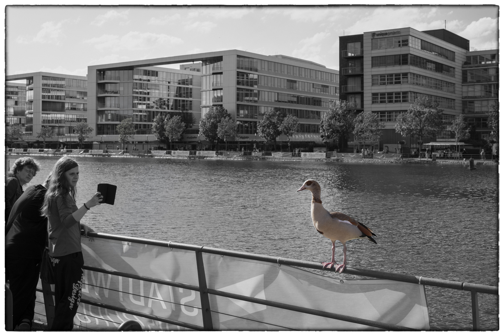 Duisburg Innenhafen - Model of the Day