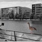 Duisburg Innenhafen - Model of the Day