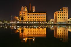 Duisburg Innenhafen - Wehrhahn Mühle [Reload]