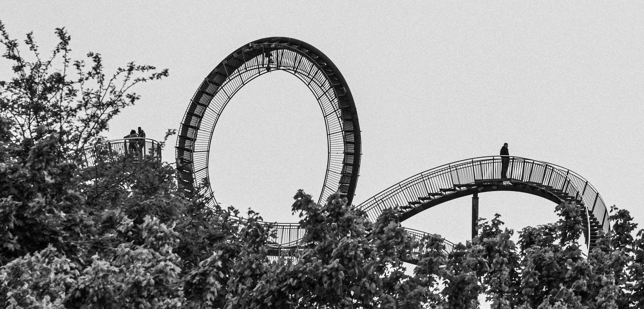 Duisburg ist hässlich - Tiger and Turtle