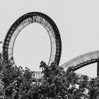 Duisburg ist hässlich - Tiger and Turtle