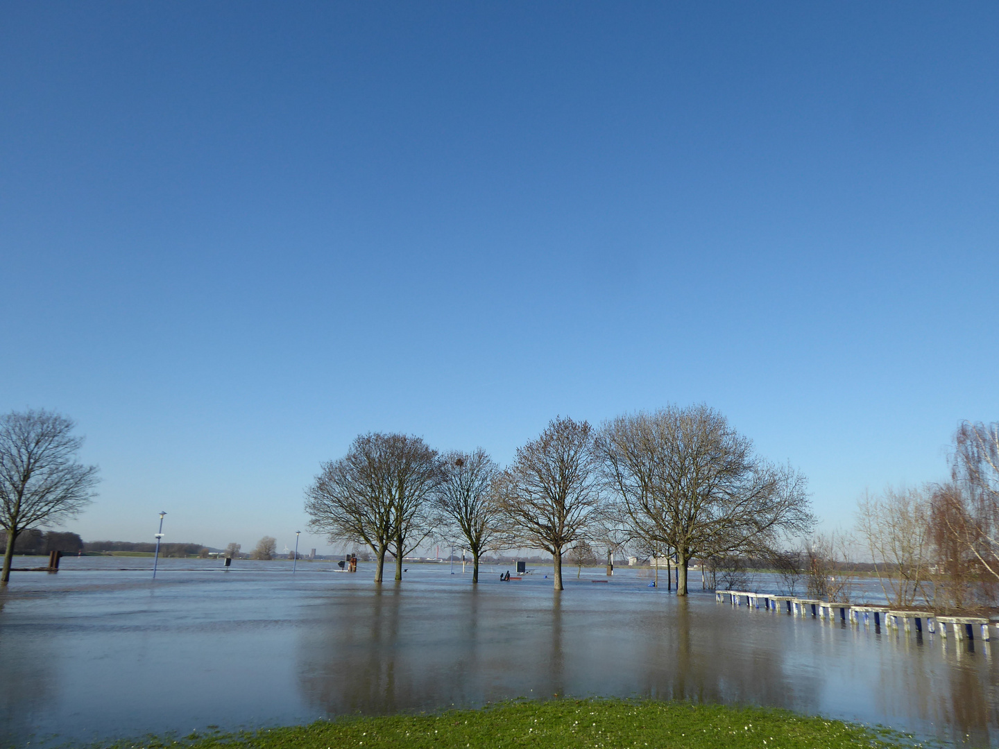 Duisburg Rheinhochwasser  b  07.02.2020 (42)