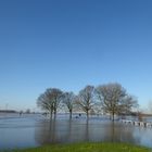 Duisburg Rheinhochwasser  b  07.02.2020 (42)