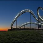 Duisburg Tiger and Turtle 2023-01