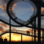 Duisburg Tiger and Turtle ....