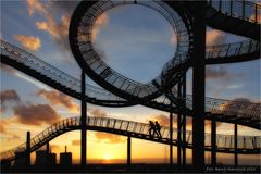 Duisburg Tiger and Turtle ....