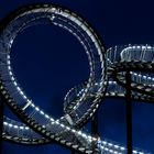 Duisburg - Tiger and Turtle