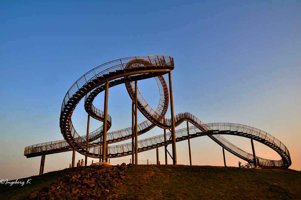 Duisburg - Tiger & Turtel im Abendlicht