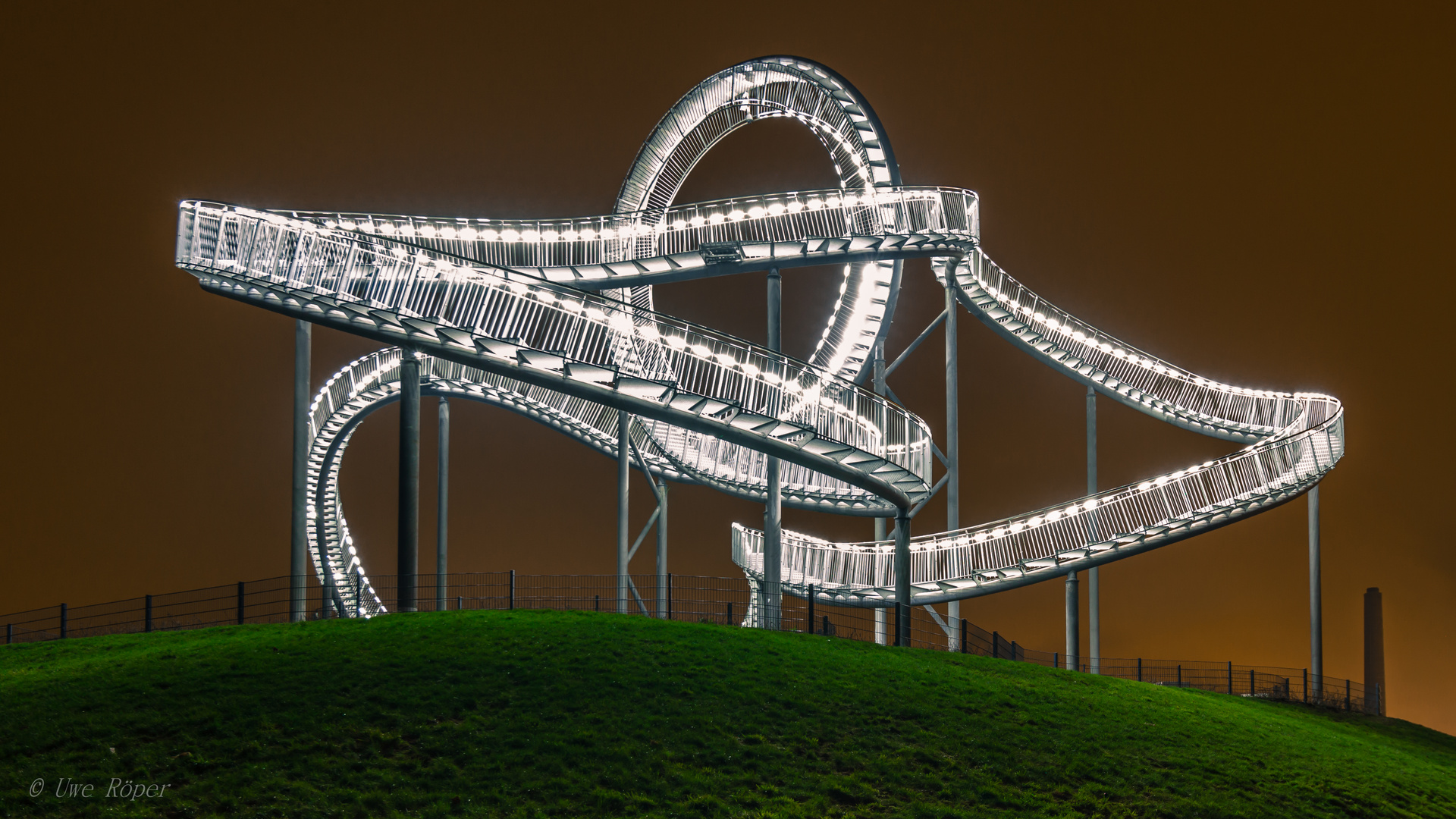 Duisburg Tiger &Turtle