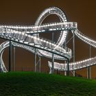 Duisburg Tiger &Turtle