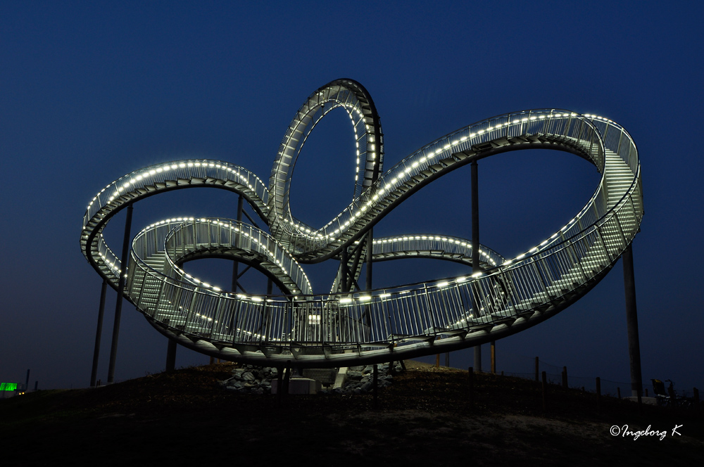 Duisburg Tiger Turtle Foto Bild Deutschland Europe Nordrhein Westfalen Bilder Auf Fotocommunity