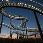 - Duisburg: Tiger & Turtle -