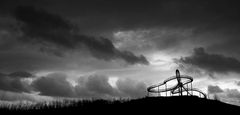 Duisburg Tiger und Turtle_1197904