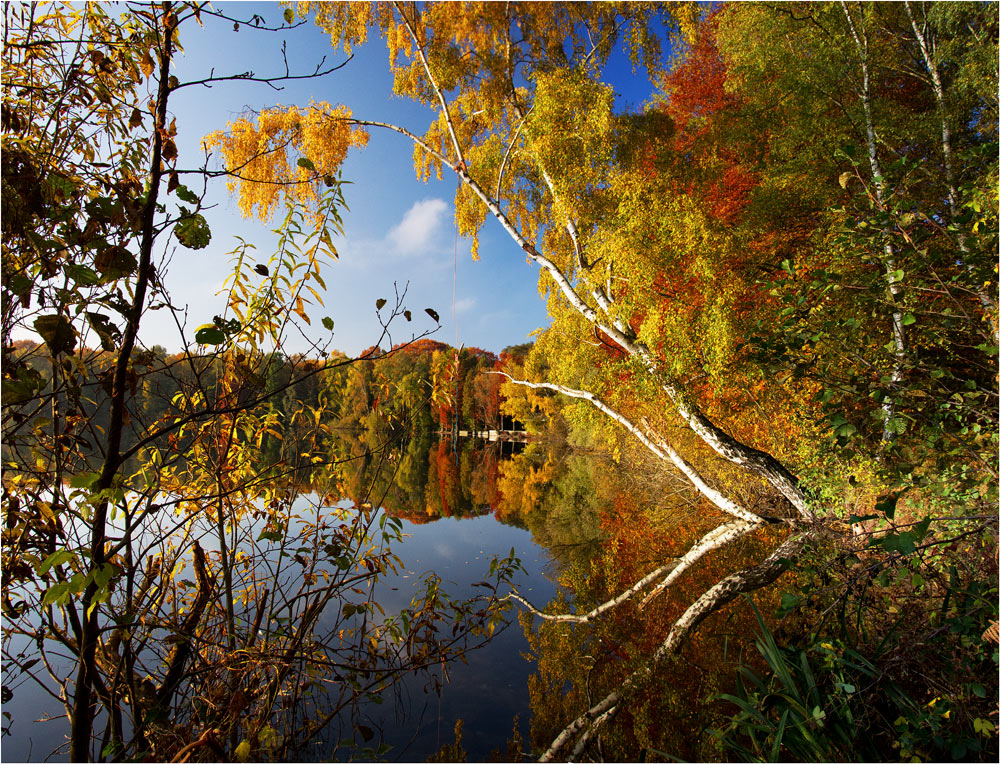 Duisburger Herbstlandschaft