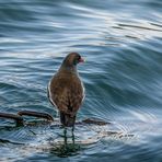 Duisburger Innenhafen (09)