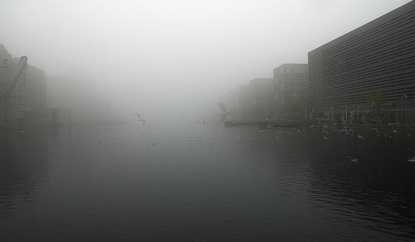 Duisburger Innenhafen im Nebel ....