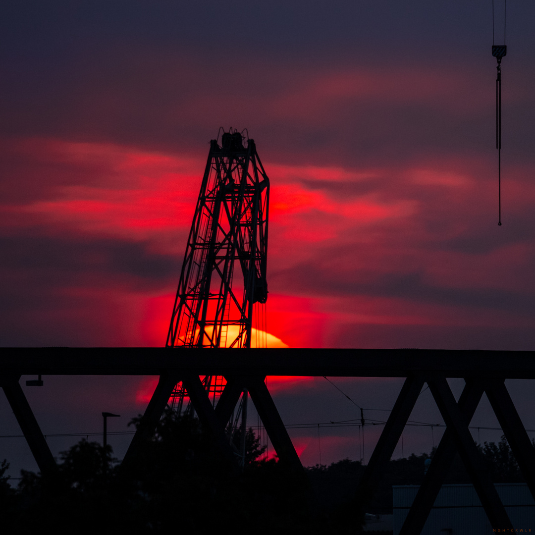 duisburger sundowner