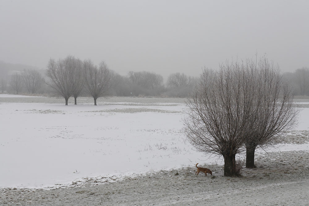 Duisburger Wintertristesse - mit Fritz