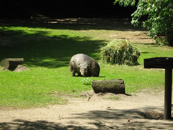 Duisburger Zoo 4