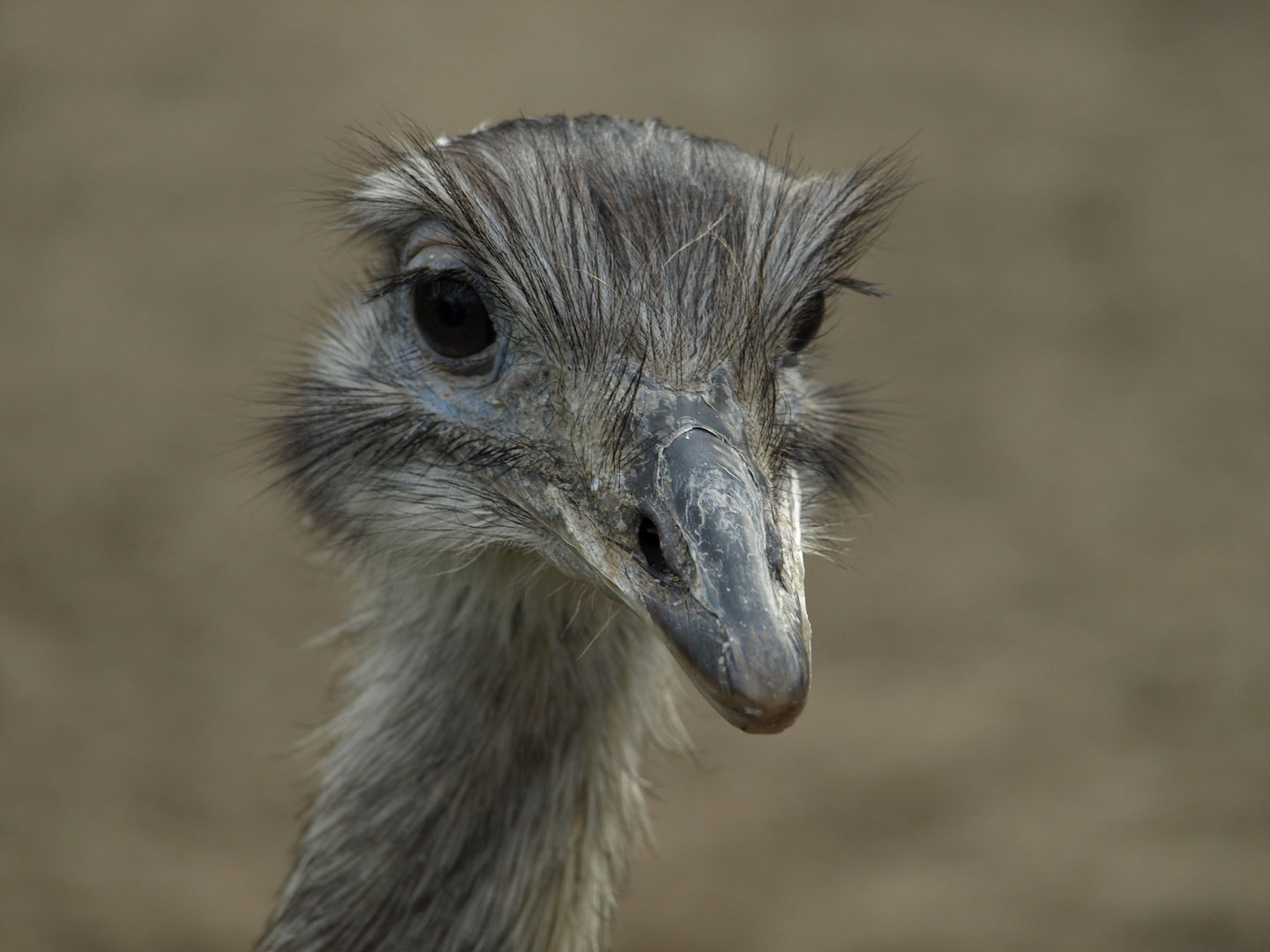 Duisburger Zoo