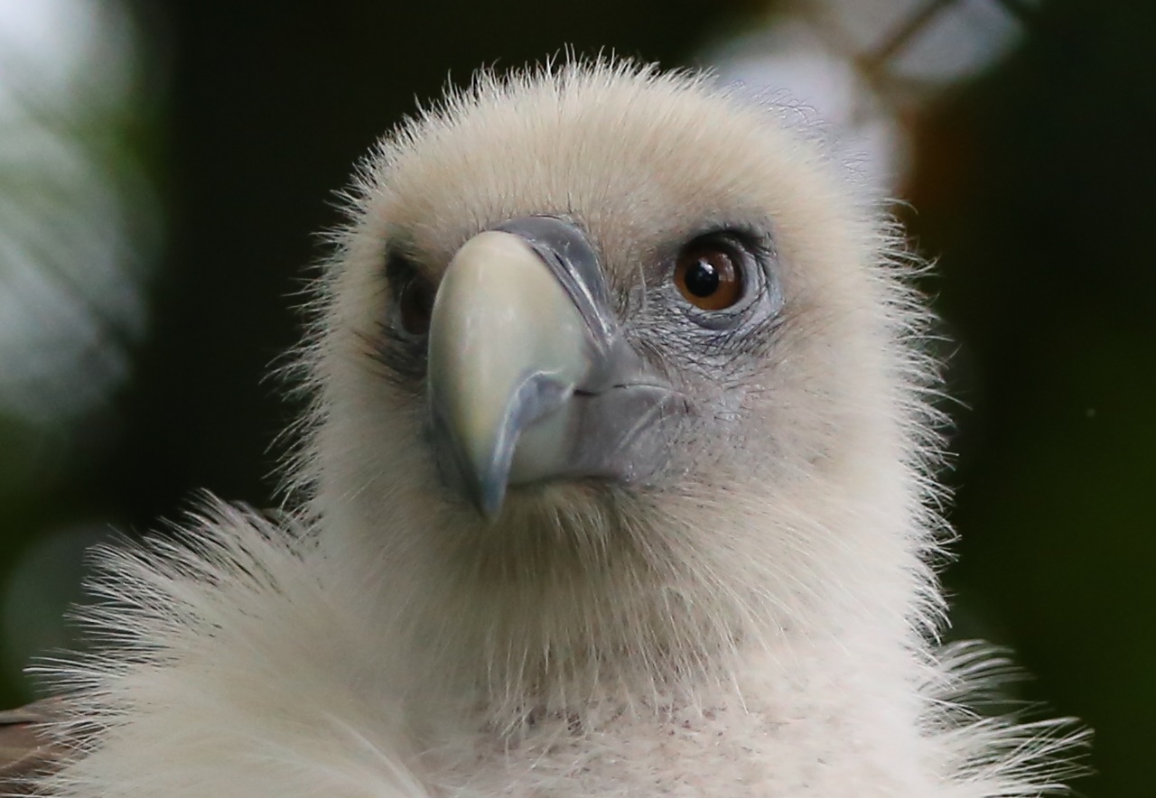 Duisburger Zoo