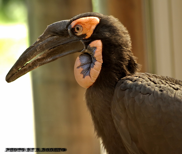 Duisburger Zoo