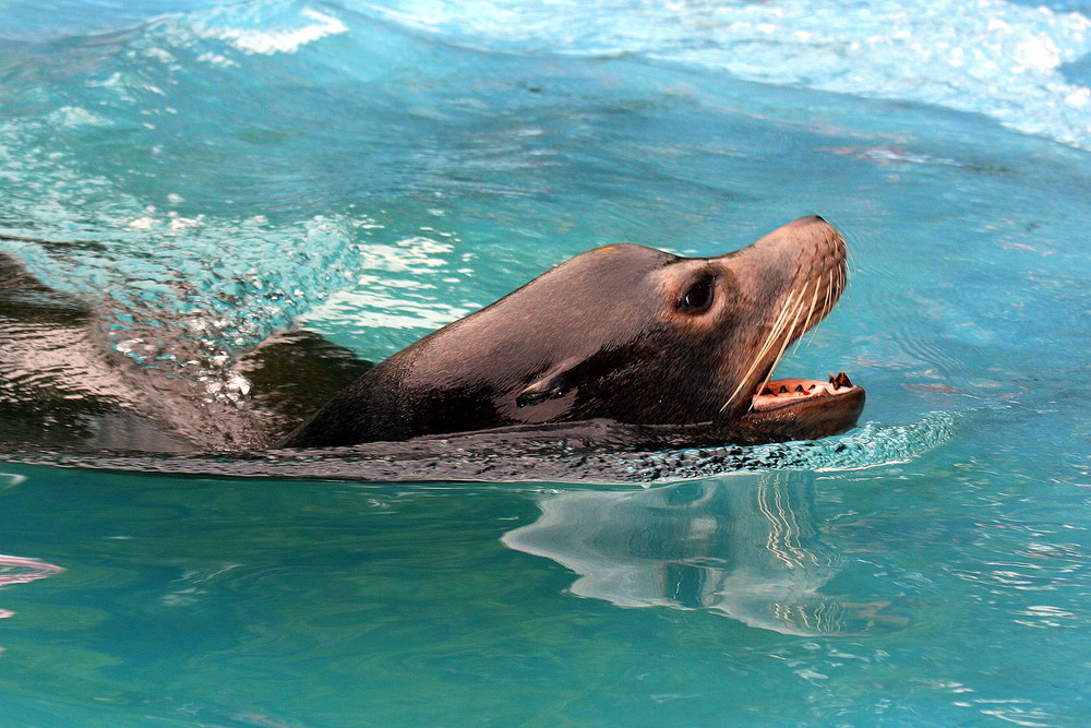 Duisburger Zoo September 08