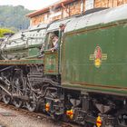 DUKE OF GLOUCESTER - Minehead