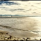 Dumbarton Rail Bridge