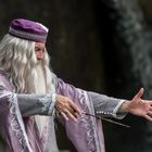 Dumbledore