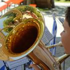 Dumherum 2014 - Musikfest in Regen/Niederbayern