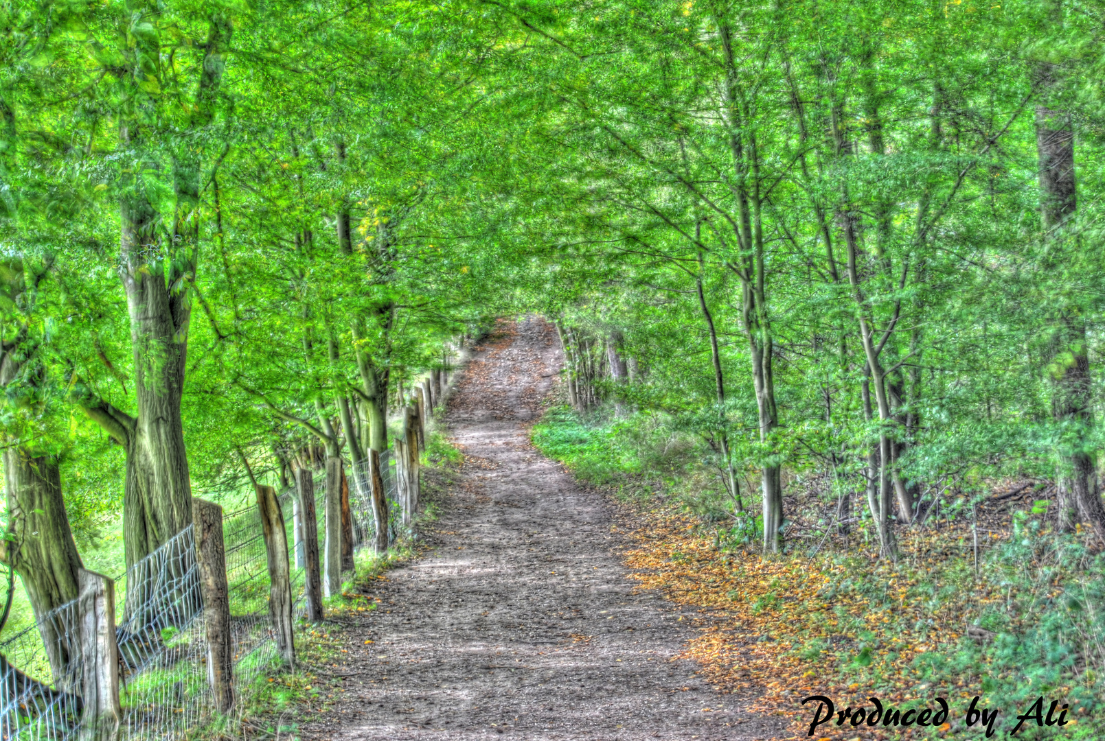 Dummersdorfer Ufer HDR