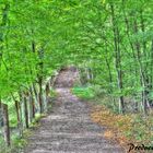 Dummersdorfer Ufer HDR