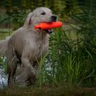 Dummy Training in der Heide