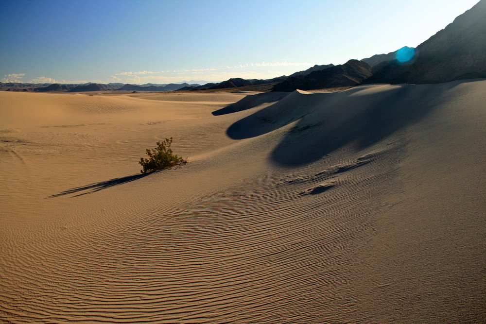 dumont little dunes 07/2009