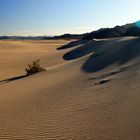 dumont little dunes 07/2009