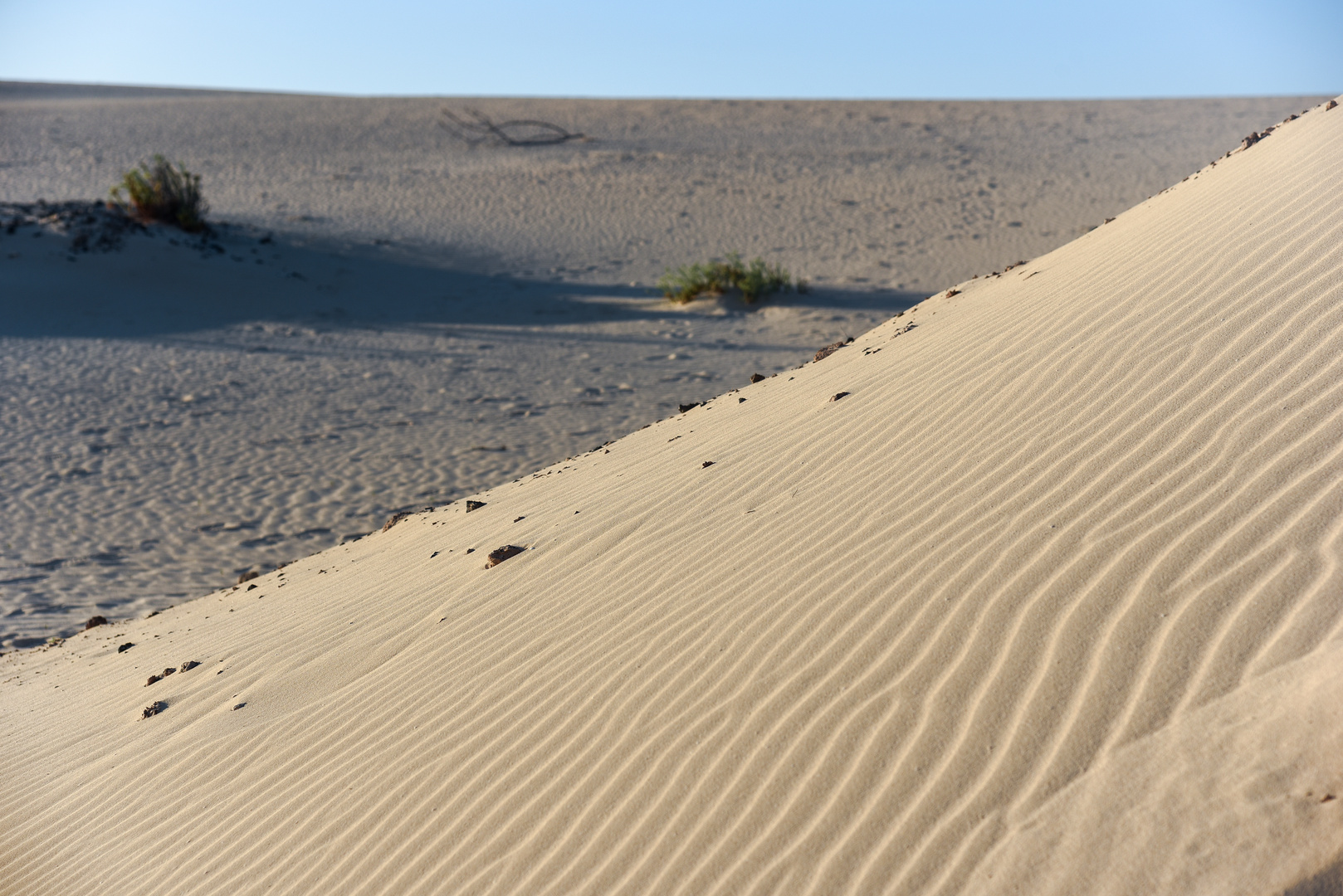 Dunas