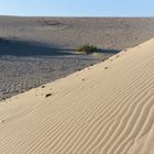 Dunas