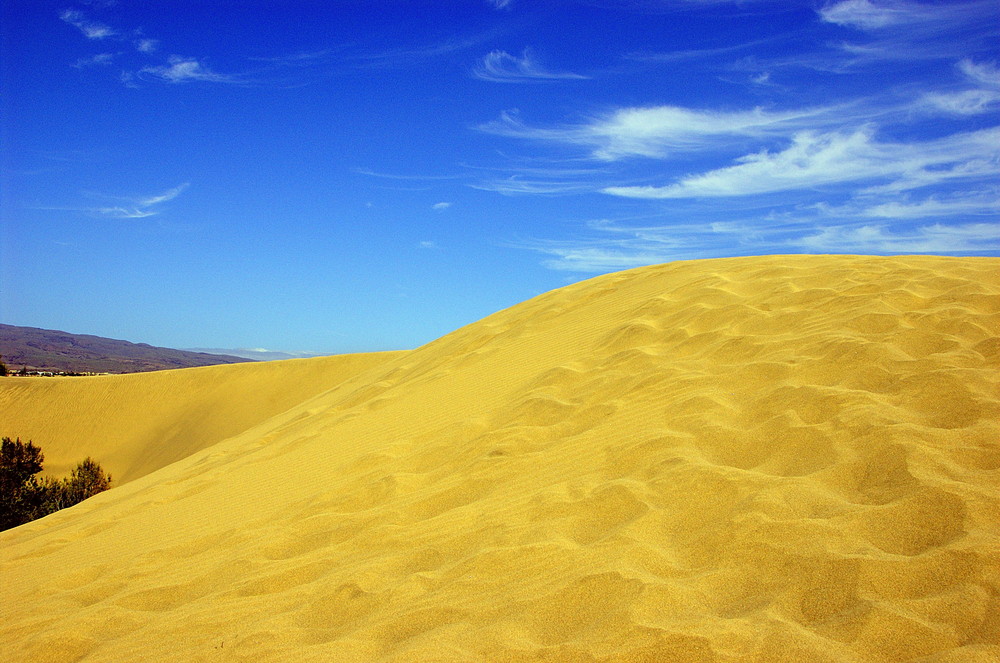 Dunas von Oli Busch 