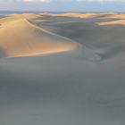 Dunas