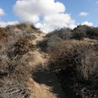 DUNAS ARTOLA -MARBELLA SPANIEN-ANDALUSIEN