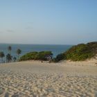 dunas , coqueiros, céu e mar..