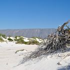 Dunas de Cal, Cuatro Cienegas