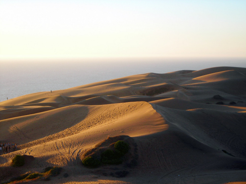 Dunas de Cochoa , Viña del Mar- Chile