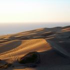 Dunas de Cochoa , Viña del Mar- Chile