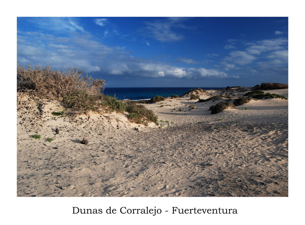 Dunas de Corralejo 2