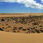 Dunas de Corralejo