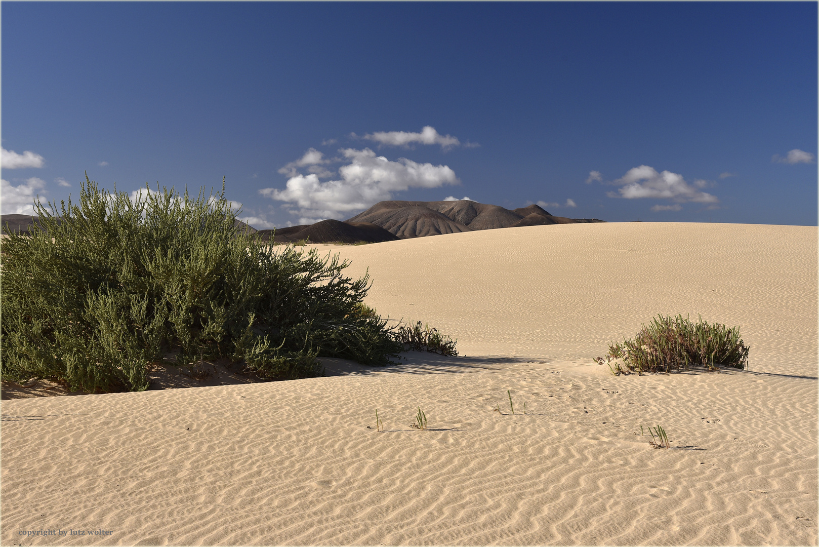 Dunas de Corralejo