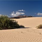 Dunas de Corralejo