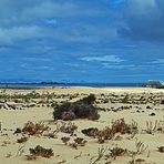 Dunas de Corralejo ²